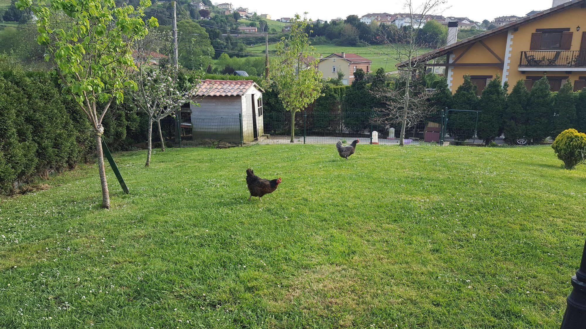 Hotel Rural Foncubierta ソト・デル・バルコ エクステリア 写真